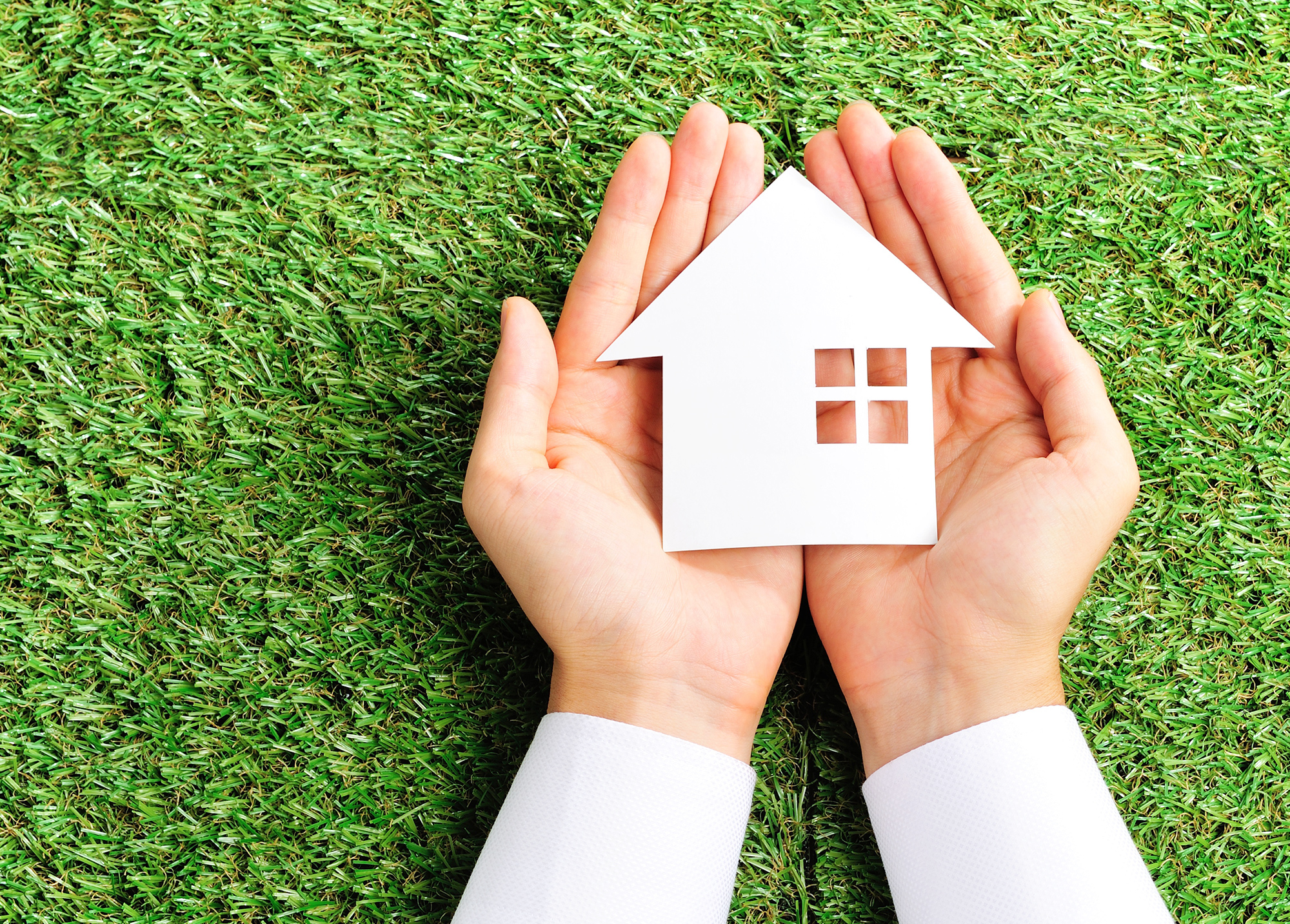緑を背景に手の上に家の形をしたものを持っている