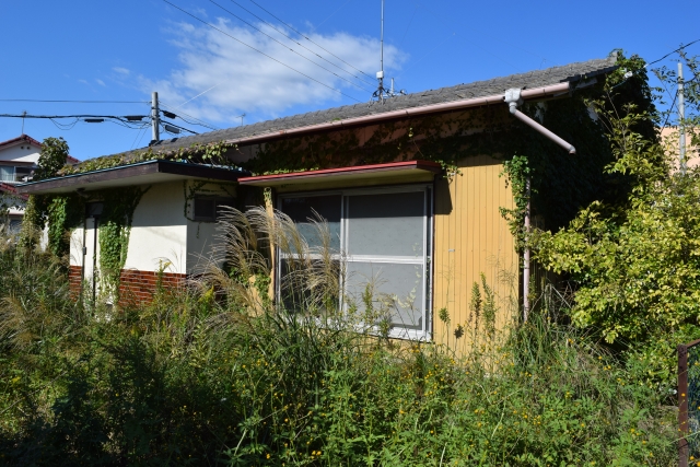 古家に草が生い茂っている