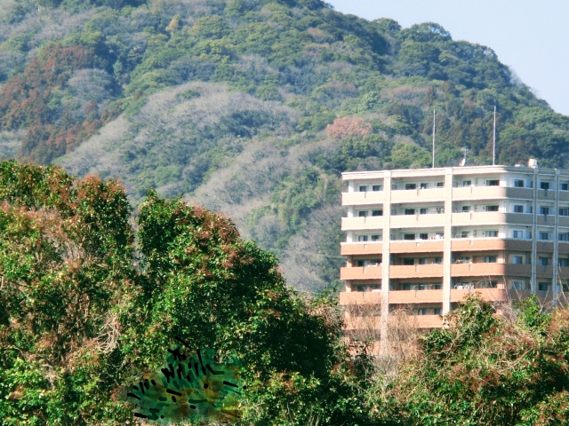 山の間にマンションが建っている